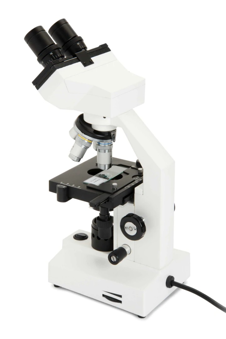Celestron Celestron Labs – Icroscopio Copuesto De Cabeza Onocular
