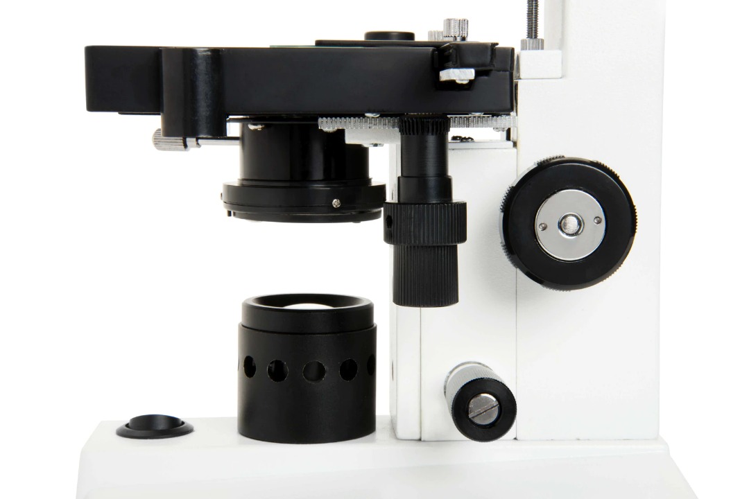 Celestron Celestron Labs – Icroscopio Copuesto De Cabeza Onocular