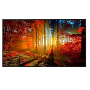 Pantalla Profesional 65" Goodview Modelo GM65M3